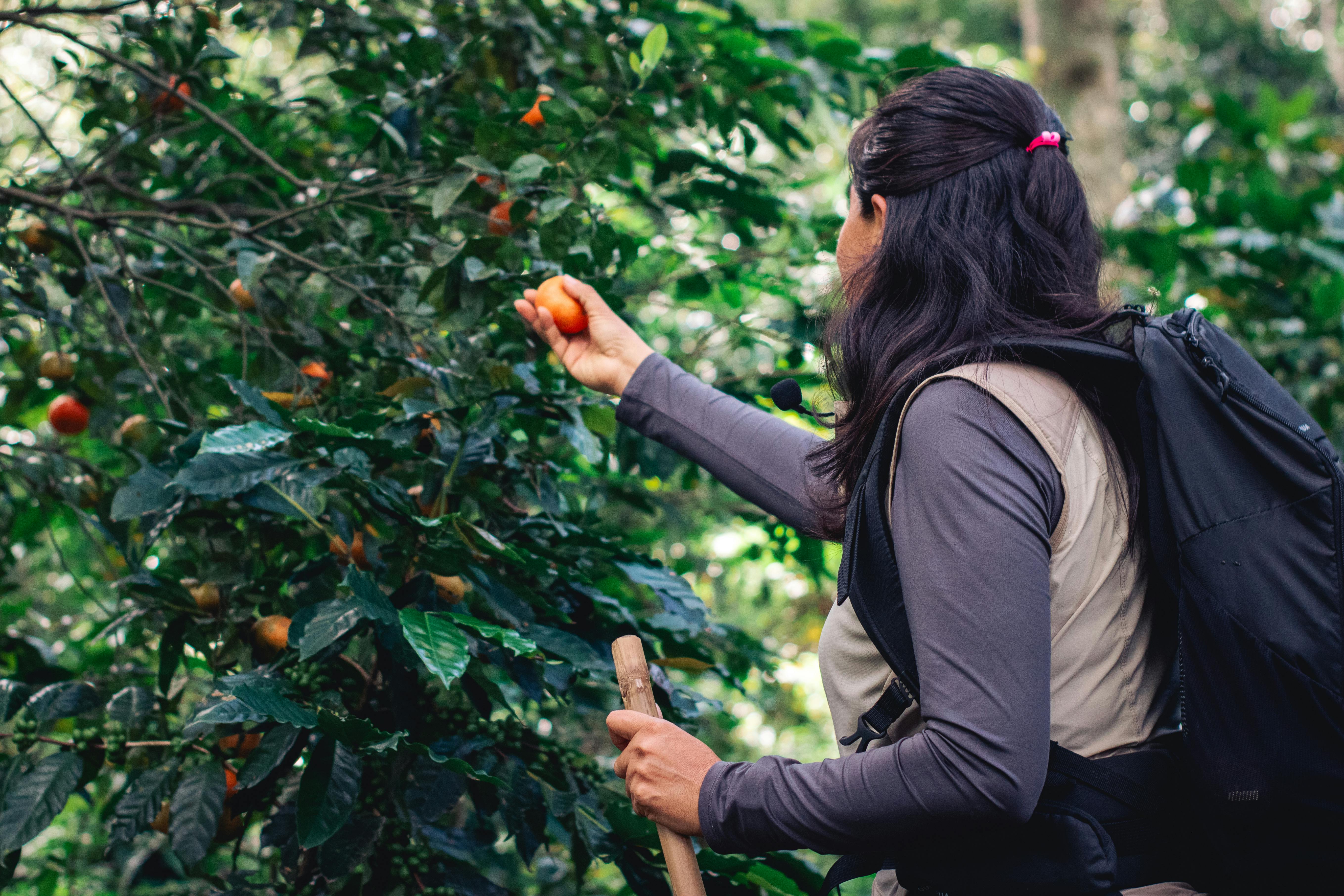 Ziraat Yük. Müh. Ceren BAŞDOĞAN